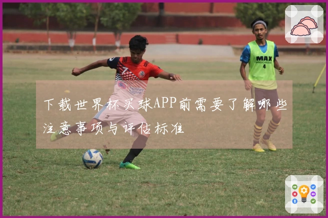 下载世界杯买球APP前需要了解哪些注意事项与评估标准