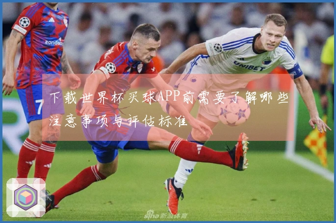 下载世界杯买球APP前需要了解哪些注意事项与评估标准