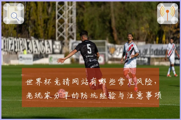 世界杯竞猜网站有哪些常见风险，老玩家分享的防坑经验与注意事项
