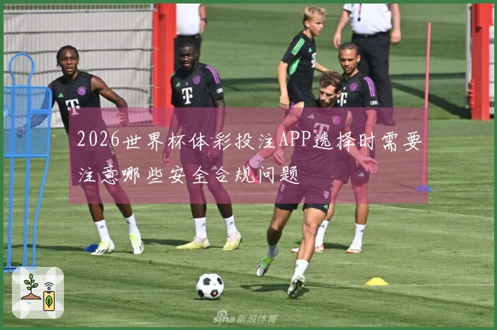 2026世界杯体彩投注APP选择时需要注意哪些安全合规问题