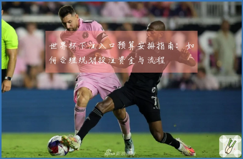 世界杯下注入口预算安排指南：如何合理规划投注资金与流程