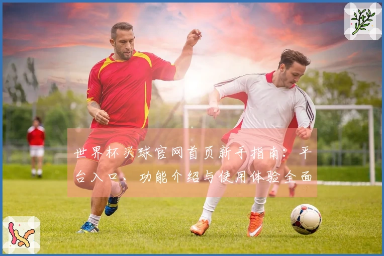 世界杯买球官网首页新手指南：平台入口、功能介绍与使用体验全面解析