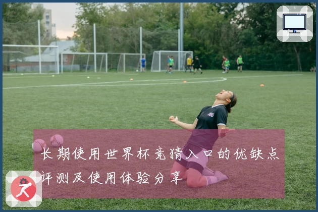 长期使用世界杯竞猜入口的优缺点评测及使用体验分享