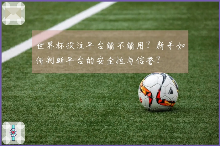 世界杯投注平台能不能用？新手如何判断平台的安全性与信誉？