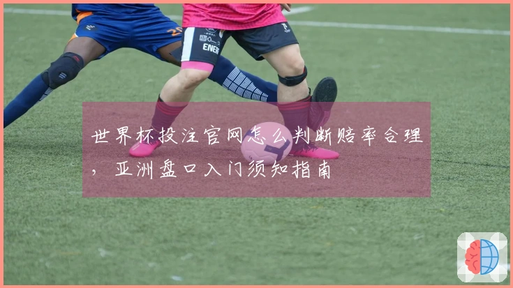 世界杯投注官网怎么判断赔率合理，亚洲盘口入门须知指南