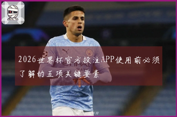 2026世界杯官方投注APP使用前必须了解的五项关键要素