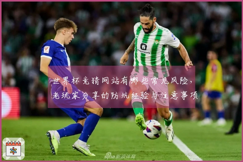 世界杯竞猜网站有哪些常见风险，老玩家分享的防坑经验与注意事项