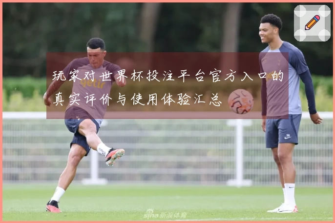 玩家对世界杯投注平台官方入口的真实评价与使用体验汇总