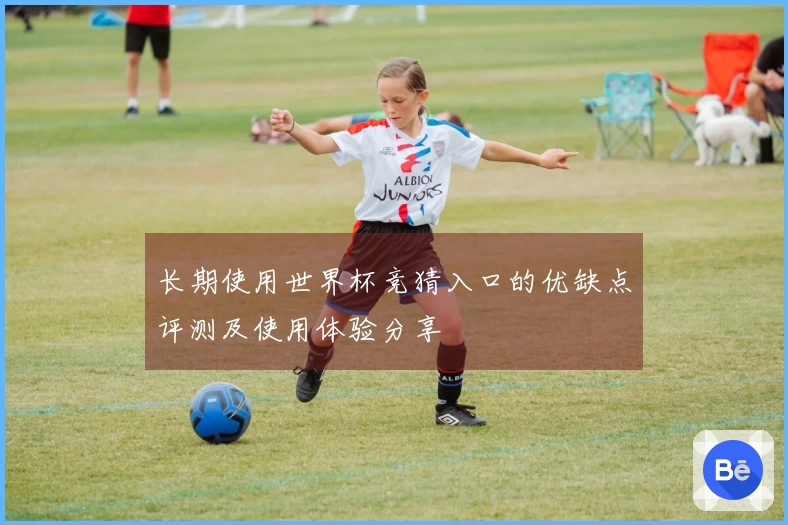 长期使用世界杯竞猜入口的优缺点评测及使用体验分享